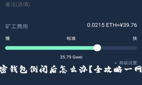: 加密钱包倒闭后怎么办?全攻略一网打尽
