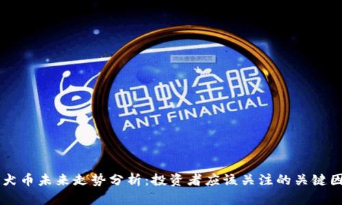 柴犬币未来走势分析：投资者应该关注的关键因素