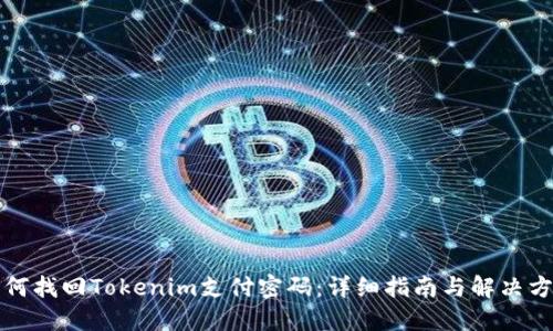 如何找回Tokenim支付密码:详细指南与解决方案