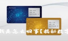 区块链钱包里的钱是怎么