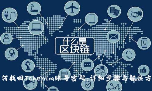 如何找回Tokenim账号密码:详细步骤与解决方案