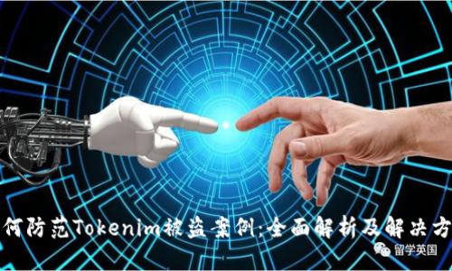 如何防范Tokenim被盗案例:全面解析及解决方案