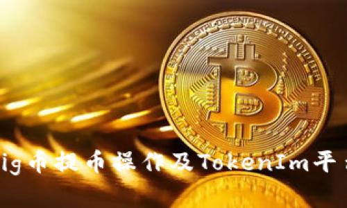 全面解析Pig币提币操作及TokenIm平台使用指南