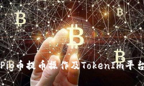 全面解析Pig币提币操作及TokenIm平台使用指南