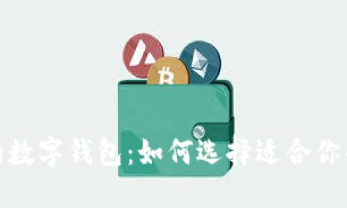 安全实用的数字钱包:如何选择适合你的数字钱包