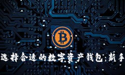 如何选择合适的数字资产钱包：新手指南