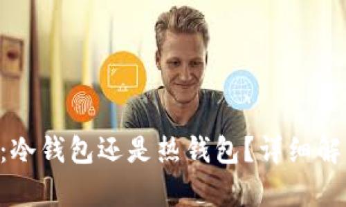 Tokenim:冷钱包还是热钱包?详细解析与比较