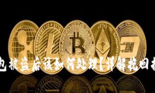 比特派钱包被盗后该如何处理？详解挽回损失的方法