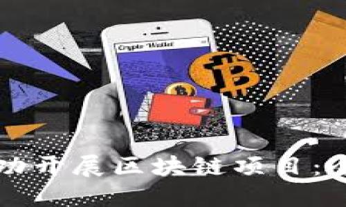 如何成功开展区块链项目：全面指南