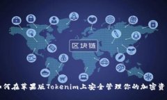 如何在苹果版Tokenim上安全