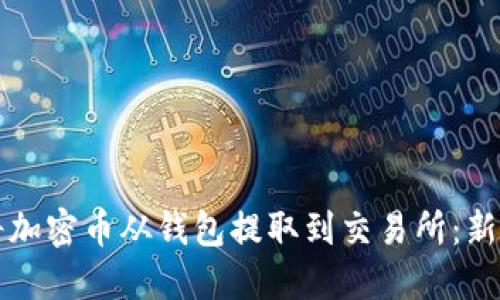 如何将加密币从钱包提取到交易所：新手指南