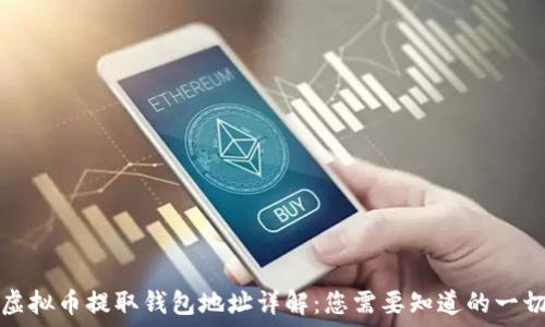   
虚拟币提取钱包地址详解：您需要知道的一切