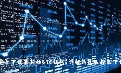 如何安全下载最新的BTC钱包？详解钱包选择及下载提示