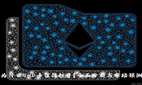 为什么BHD币值得投资？全面分析与市场预测