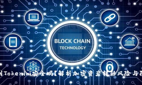 把币提到Tokenim安全吗?解析加密资产转移风险与防护措施
