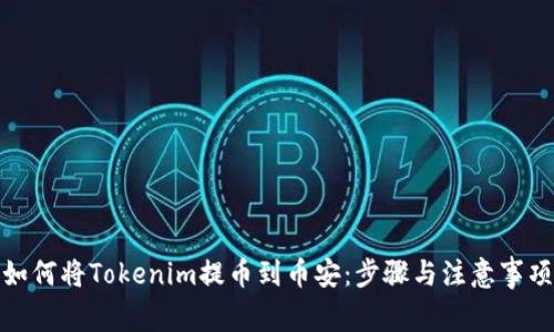 如何将Tokenim提币到币安:步骤与注意事项