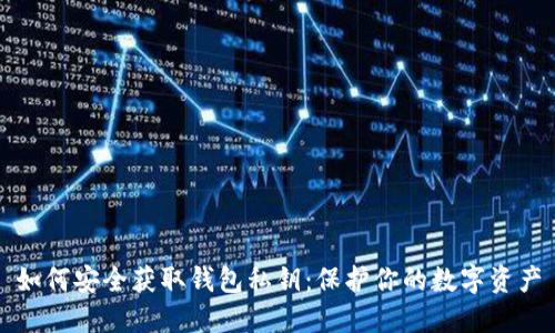 如何安全获取钱包私钥:保护你的数字资产