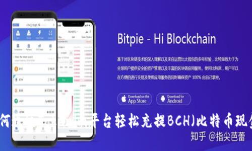 如何通过Tokenim平台轻松充提BCH(比特币现金)