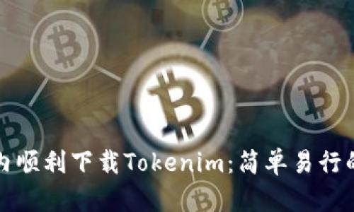 如何在国内顺利下载Tokenim:简单易行的解决办法