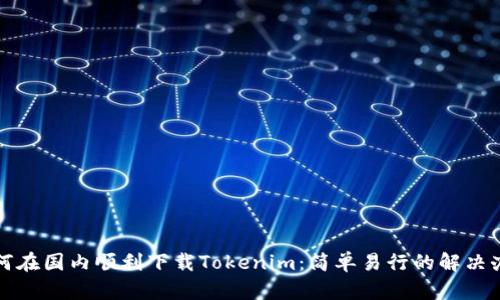 如何在国内顺利下载Tokenim:简单易行的解决办法