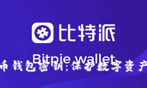 加密货币钱包密钥:保护数字资产的关键