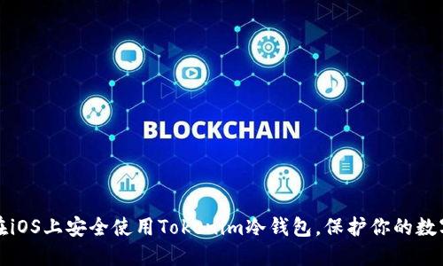 如何在iOS上安全使用Tokenim冷钱包,保护你的数字资产